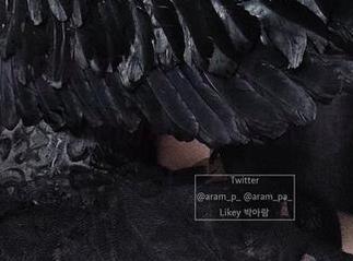 这回的作品更新，Aram(아람)又要让人脑洞大开了，她的私人网络太不可思议了！