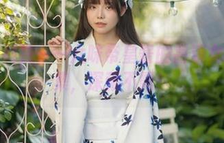 奔向黑科技——六味帝皇酱的高清女仆写真集，深藏不露！
