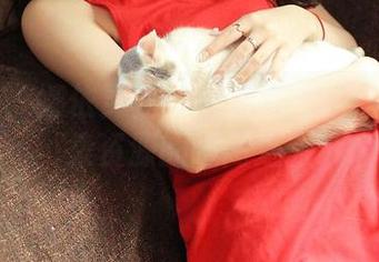 推女神 - 娜依灵儿的厨房冒险：一场写真集资源的喧闹之旅