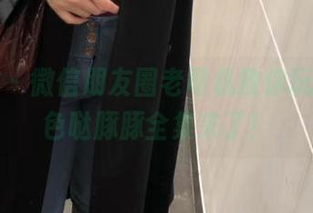 微密圈 - 微信朋友圈老司机教你玩转，紫色哒豚豚全集来了！