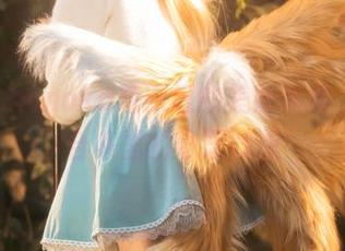 花兮_honoka与眼镜的美妙碰撞，分享合集里的奇思妙想